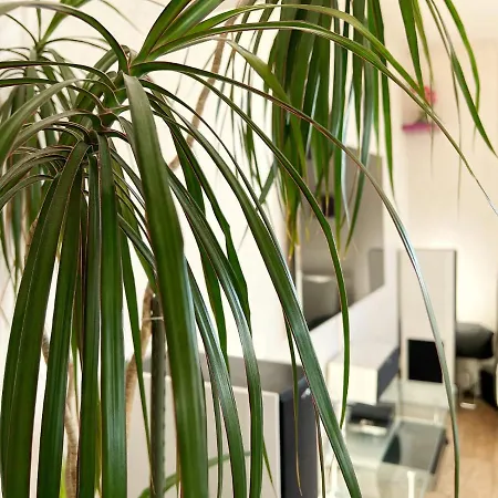 Le Panoramique Homestay Saint-Herblain