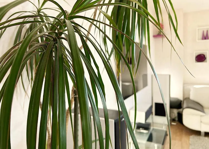 Le Panoramique בית אירוח סנט-הרבלן