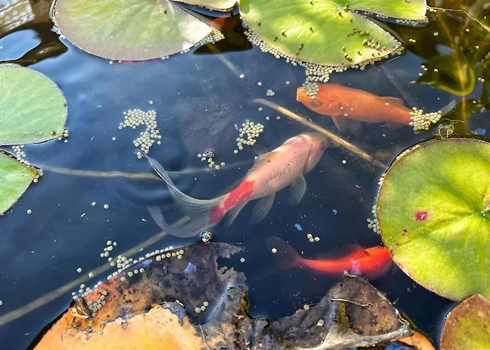 Le Panoramique Quarto em Acomodações Particulares